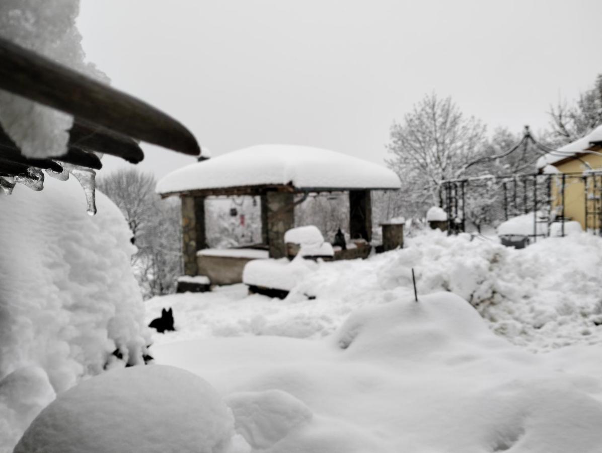 B&B La Corte Dei Cerri- Il Piccolo Chalet Frassinoro 외부 사진