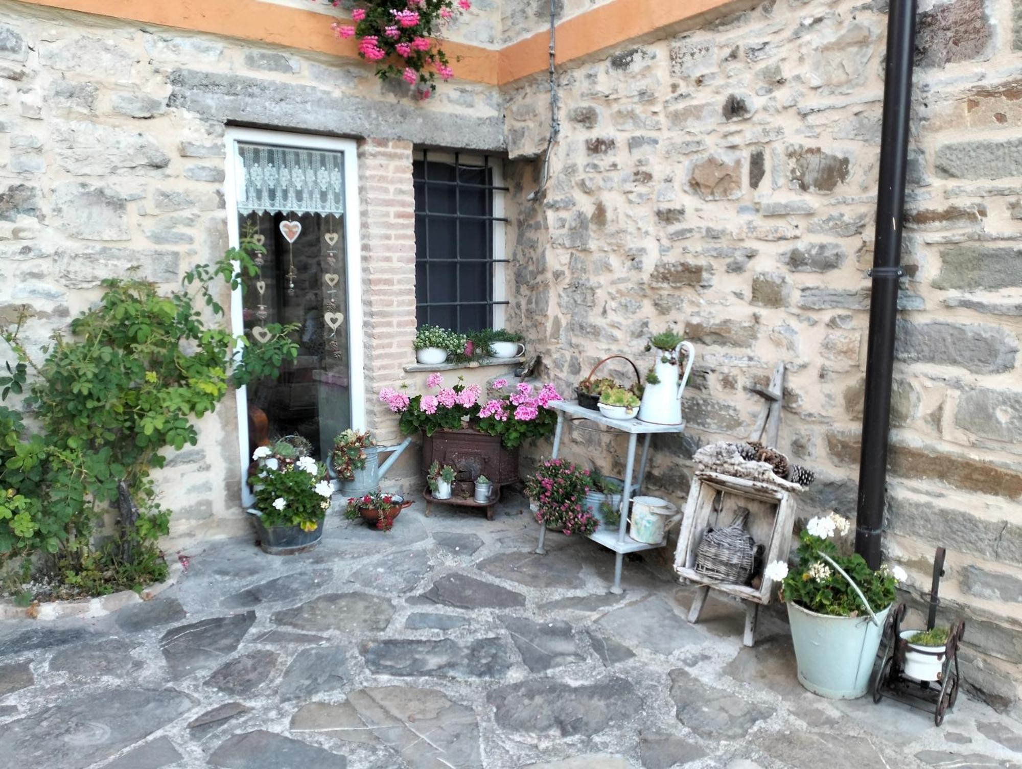 B&B La Corte Dei Cerri- Il Piccolo Chalet Frassinoro 외부 사진